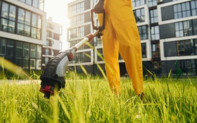 Best Lawn Care Services to Offer in Each Season
