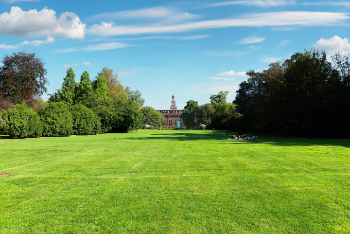 Wide Green Lawn Bordered By Trees In A Public Park During Summer