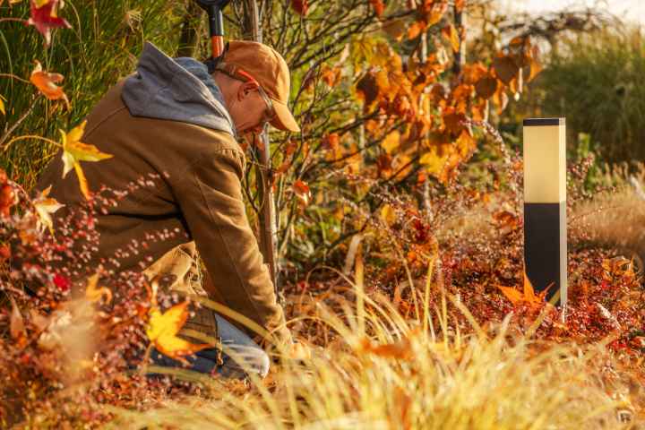 A Landscaper Planting Plants In Vibrant Autumn
