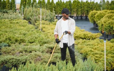 Door-to-Door Marketing for Lawn Services: A Practical Guide That Actually Works