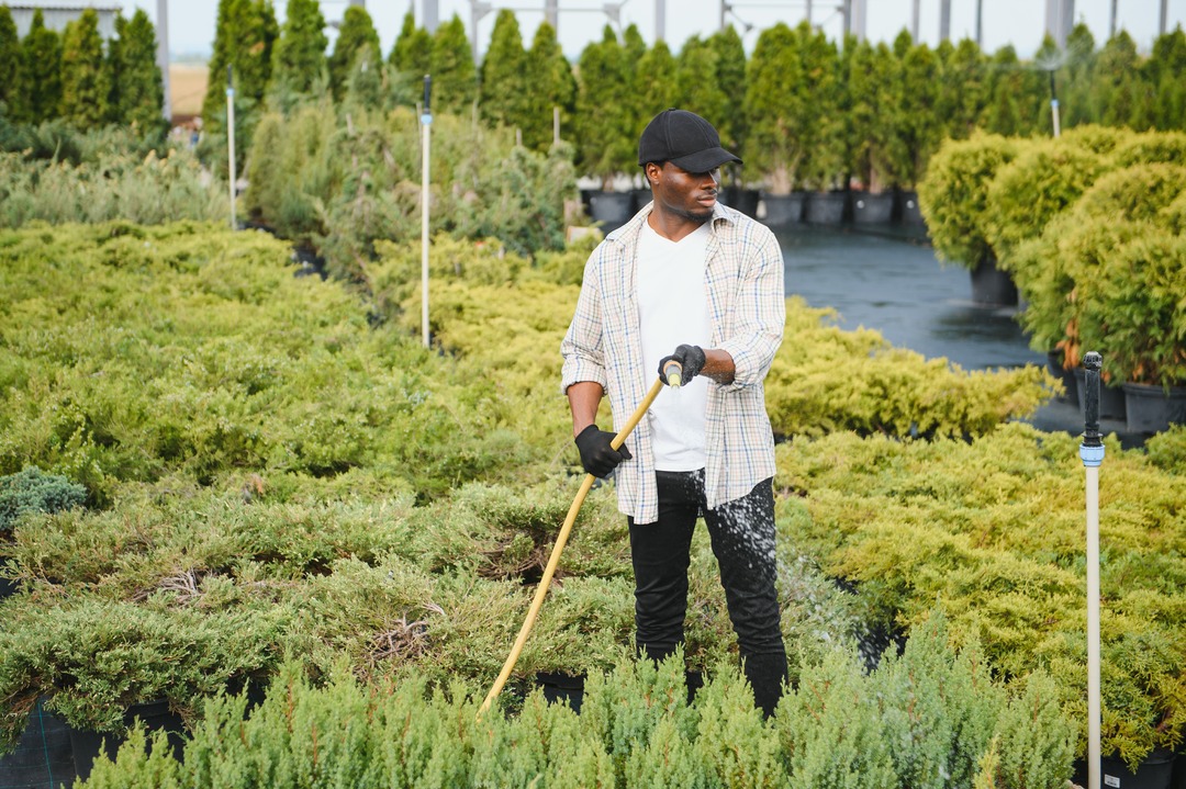 Landscaper Watering Plant