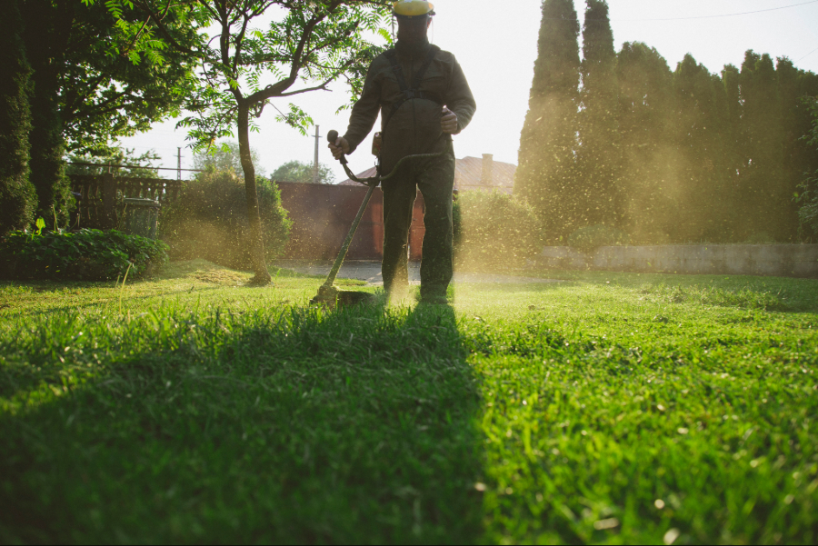 How To Differentiate Your Lawn Company And Win Better Clients 2