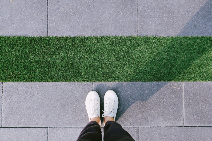 How to Use Google Ads for Seasonal Lawn Care Promotions