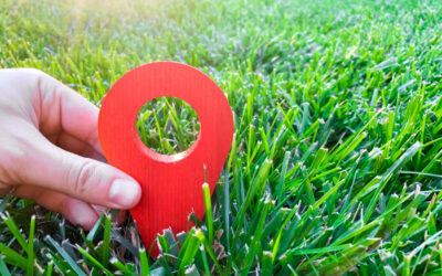 Landscaping SEO: Why Local Rankings Make Or Break Your Business