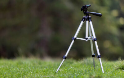 How Landscapers Can Take Better Photos And Videos For Marketing