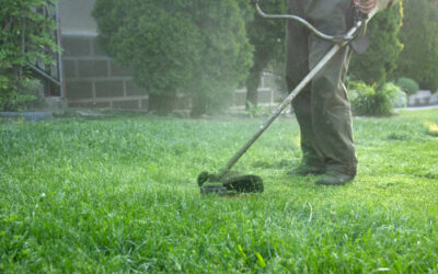 How To Build A Landscaping Website That Actually Sells