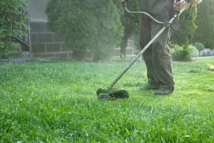 How To Build A Landscaping Website That Actually Sells