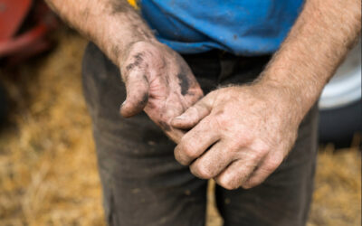 How To Plan Seasonal Content That Grows Your Landscaping Business