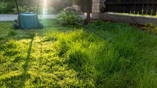 Lawn Care Ad Writing Tips Get Better Results On Google 2