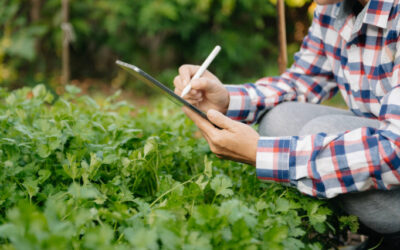 How to Generate Quality Leads Through Your Landscaping Website