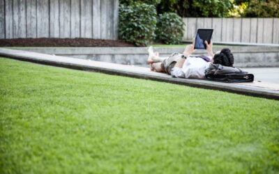 Landscaping Marketing: Create a Value Proposition That Attracts Better Clients