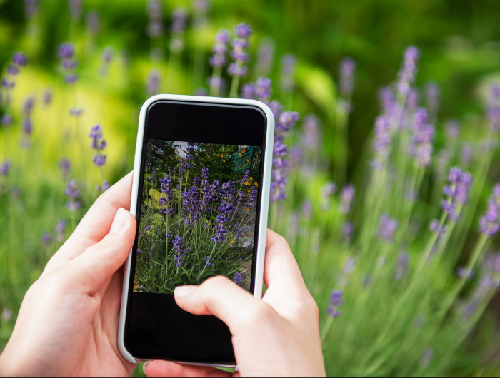 The Power of Before-and-After Photos in Landscaping Marketing