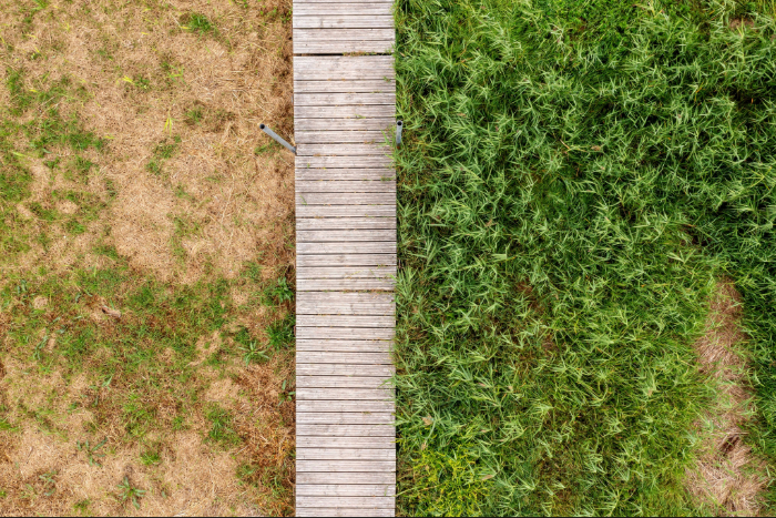 The Role Of Quality Visual Content In Landscaping Marketing 2