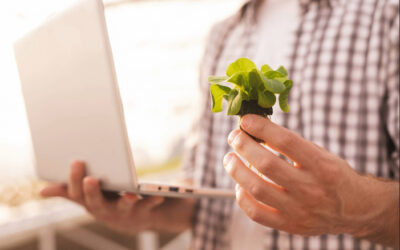 The Role of Quality Visual Content in Landscaping Marketing