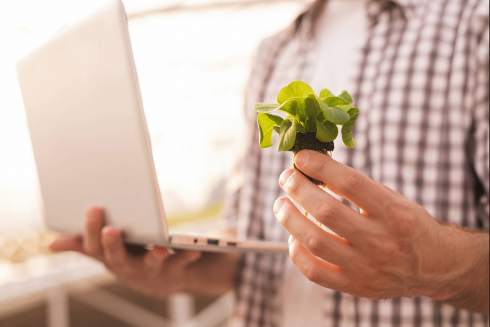 The Role Of Quality Visual Content In Landscaping Marketing