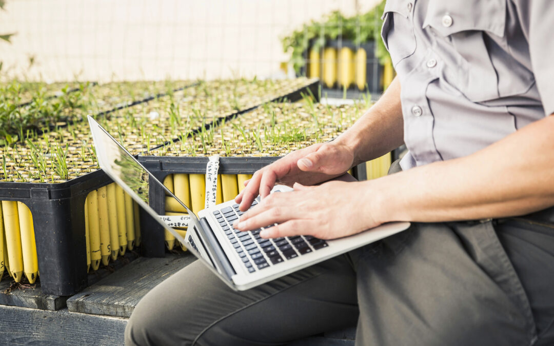 Why Your Landscaping Website Is Not Ranking Even If It Looks Good