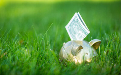 Google Ads for Lawn Care: How to Win Without Overspending