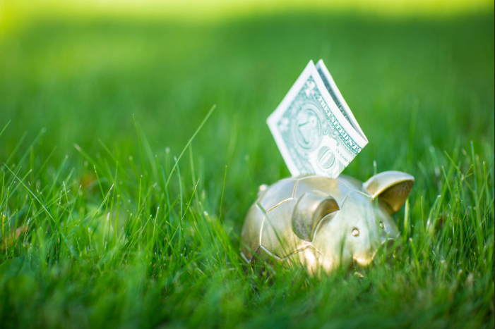 Google Ads for Lawn Care: How to Win Without Overspending