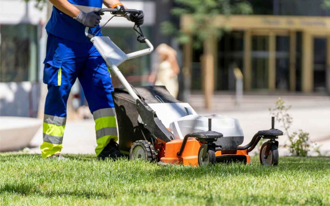 Small Landscaping Business Growth: More Leads Without More Driving
