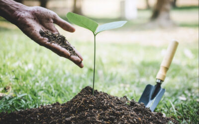 Hiring Funnel for Landscaping Companies: How to Attract Better Crew Members