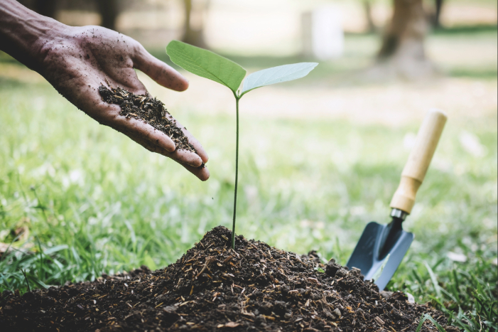 Hiring Funnel for Landscaping Companies: How to Attract Better Crew Members