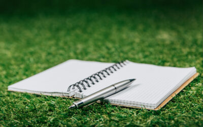 Landscaping Marketing Budget: Where to Spend First When You Want More Leads