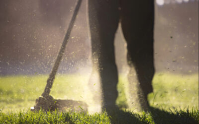 Landscaping Referral System: How to Turn Happy Customers Into New Leads