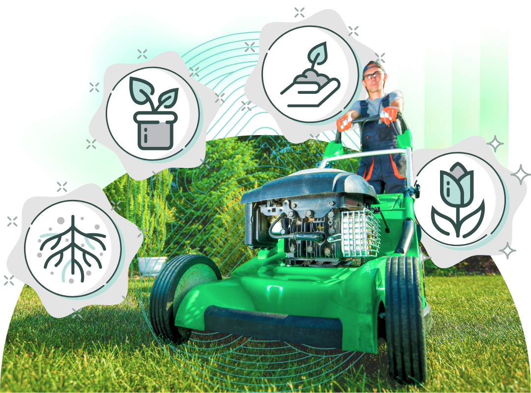 Fernflo View All Plans And Pricing Section Image