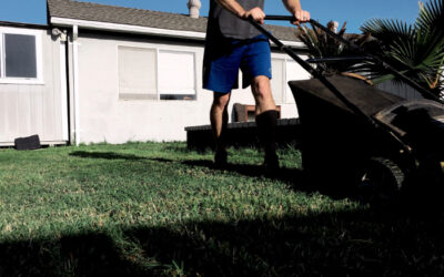 Landscaping Estimate Follow-Up: How to Win More Jobs Without Being Annoying