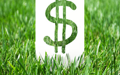 Landscaping Marketing ROI: How to Know Which Campaigns Are Worth Your Money 