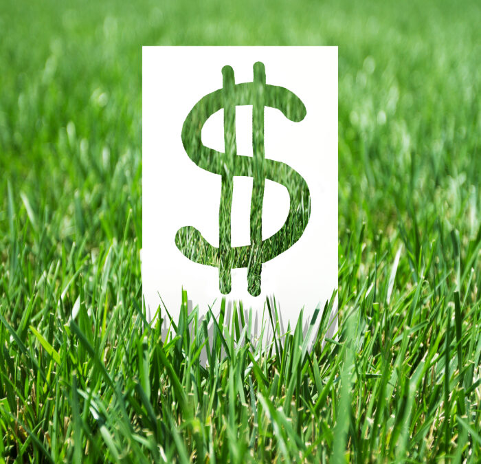 Landscaping Marketing ROI: How to Know Which Campaigns Are Worth Your Money 