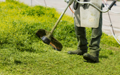 Landscaping Service Area SEO: How to Show Up in More Nearby Markets 